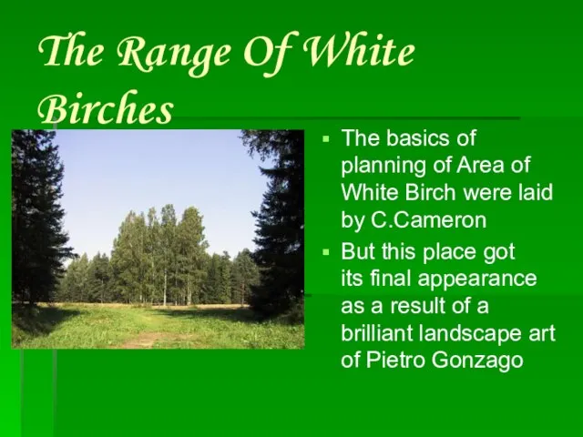 The Range Of White Birches The basics of planning of Area of