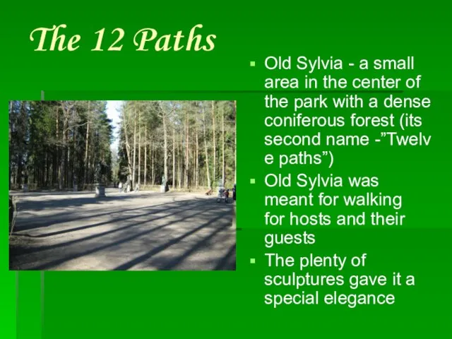 The 12 Paths Old Sylvia - a small area in the center
