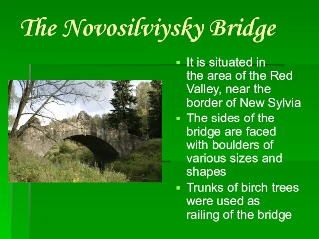 The Novosilviysky Bridge It is situated in the area of the Red