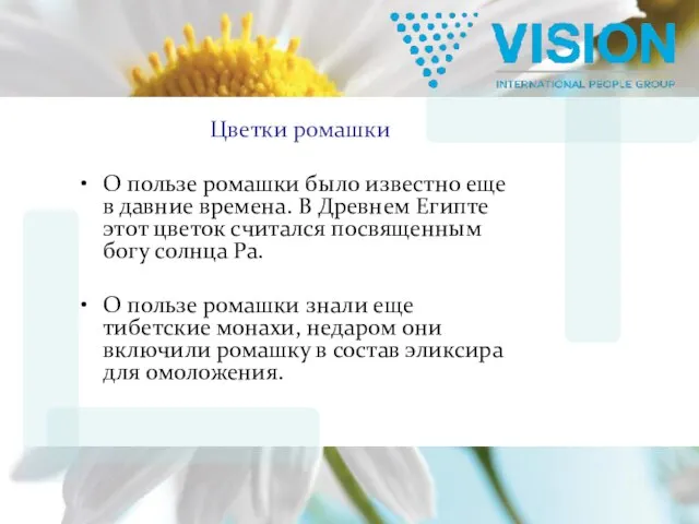 Цветки ромашки О пользе ромашки было известно еще в давние времена. В