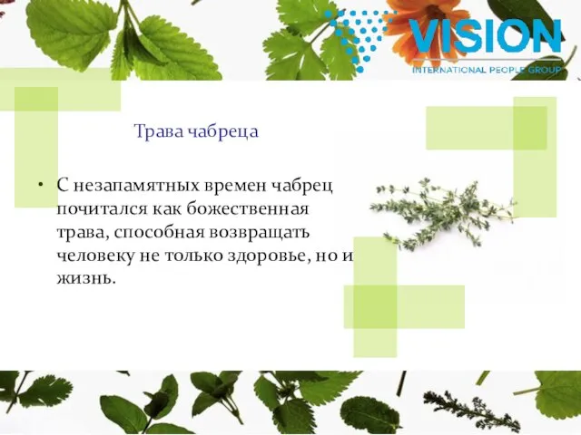 Трава чабреца С незапамятных времен чабрец почитался как божественная трава, способная возвращать