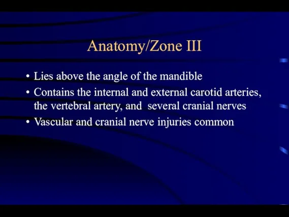Anatomy/Zone III Lies above the angle of the mandible Contains the internal