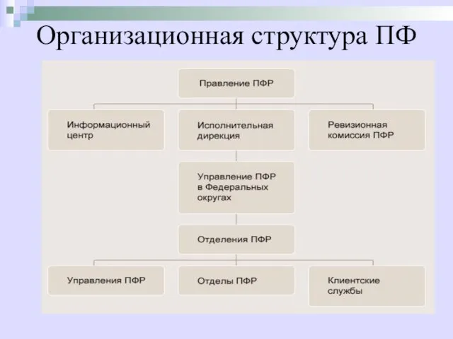 Организационная структура ПФ