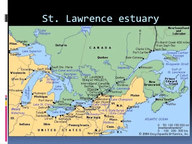 St. Lawrence estuary