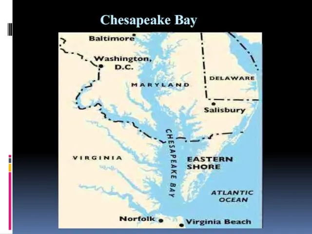 Chesapeake Bay