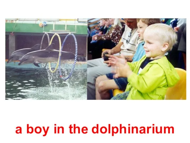 a boy in the dolphinarium