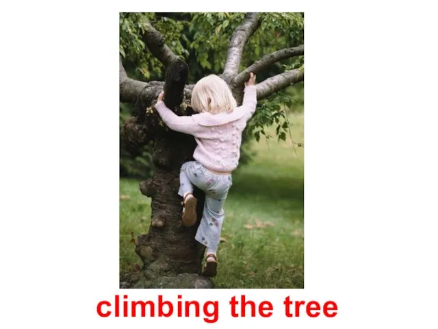 climbing the tree