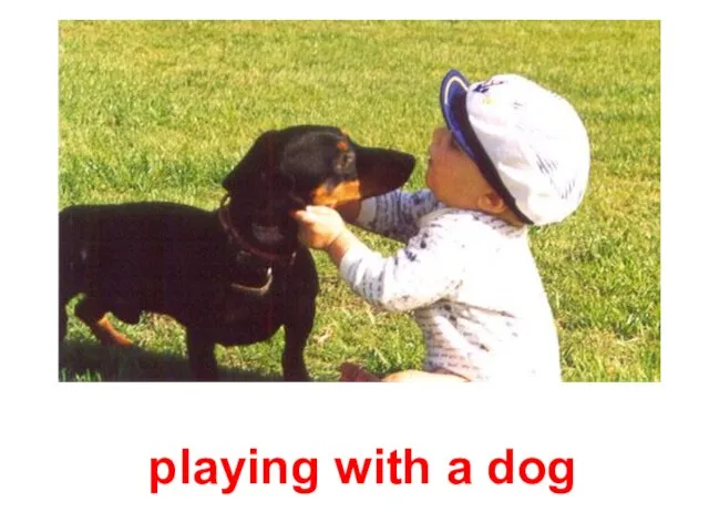 playing with a dog