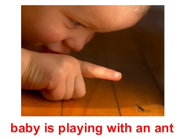 baby is playing with an ant