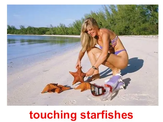 touching starfishes