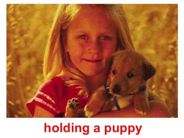 holding a puppy