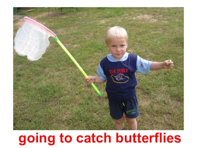 going to catch butterflies