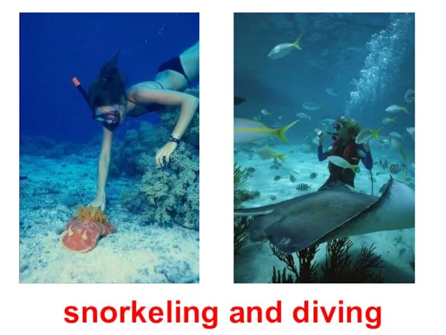 snorkeling and diving