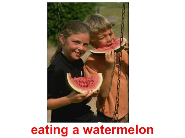 eating a watermelon