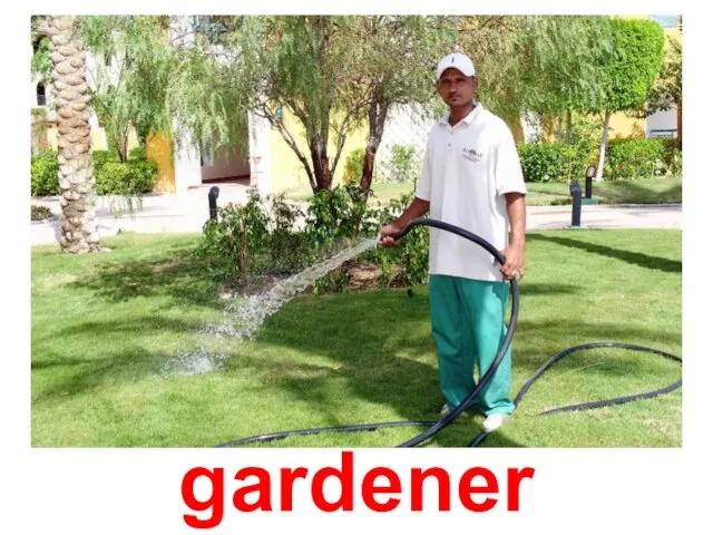 gardener