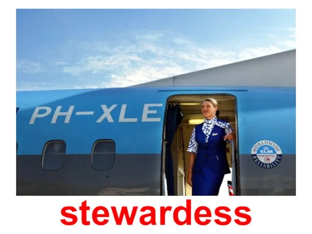 stewardess