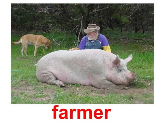 farmer