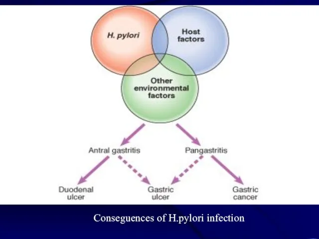 Conseguences of H.pylori infection