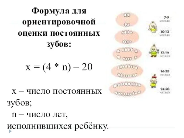 Формула для ориентировочной оценки постоянных зубов: х = (4 * n) –