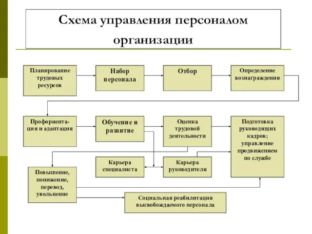 Схема управления персоналом организации