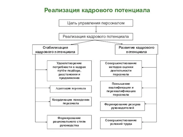 Реализация кадрового потенциала