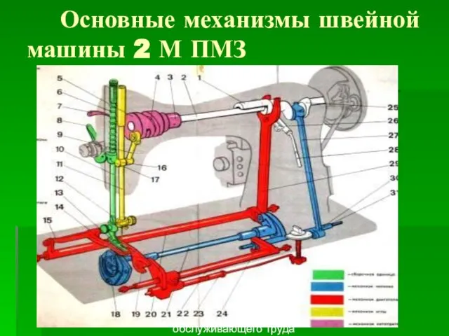 Первитская И.В. учитель обслуживающего труда Макушинской СОШ Основные механизмы швейной машины 2 М ПМЗ