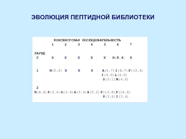 ЭВОЛЮЦИЯ ПЕПТИДНОЙ БИБЛИОТЕКИ КОНСЕНСУСНАЯ ПОСЛЕДОВАТЕЛЬНОСТЬ 1 2 3 4 5 6 7