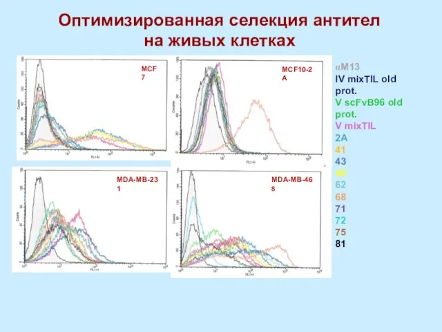 Оптимизированная селекция антител на живых клетках