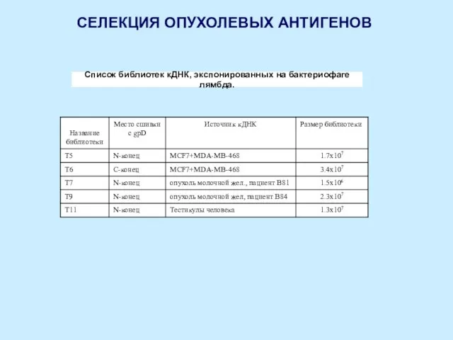 СЕЛЕКЦИЯ ОПУХОЛЕВЫХ АНТИГЕНОВ Список библиотек кДНК, экспонированных на бактериофаге лямбда.