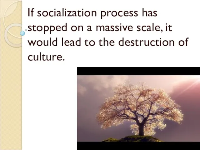 If socialization process has stopped on a massive scale, it would lead