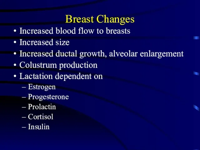 Breast Changes Increased blood flow to breasts Increased size Increased ductal growth,