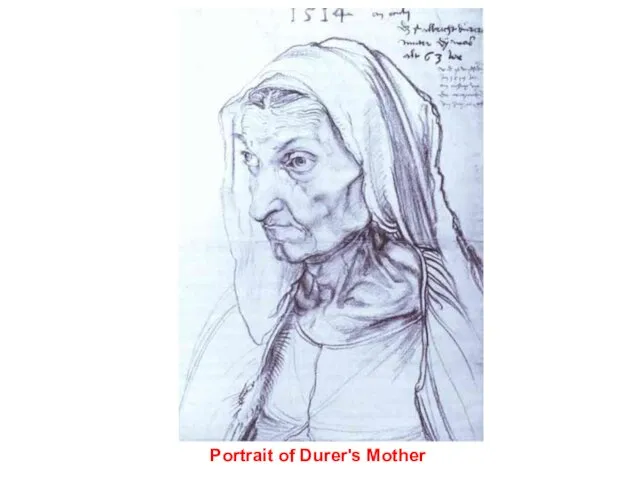 Portrait of Durer's Mother