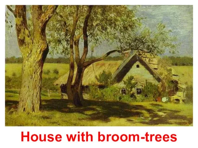 House with broom-trees