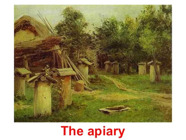 The apiary