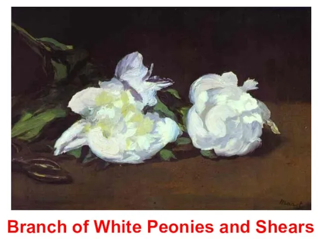 Branch of White Peonies and Shears