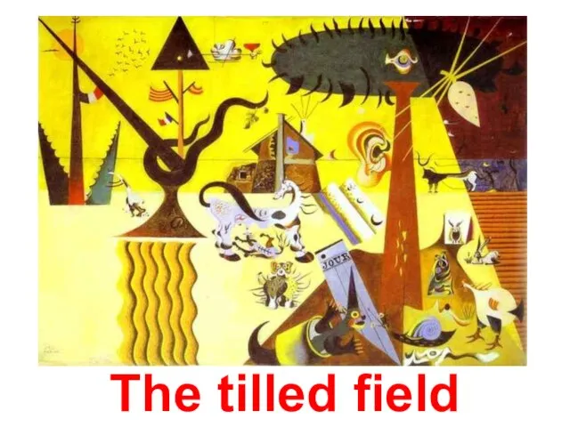 The tilled field