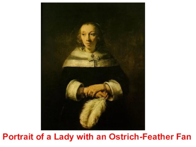 Portrait of a Lady with an Ostrich-Feather Fan