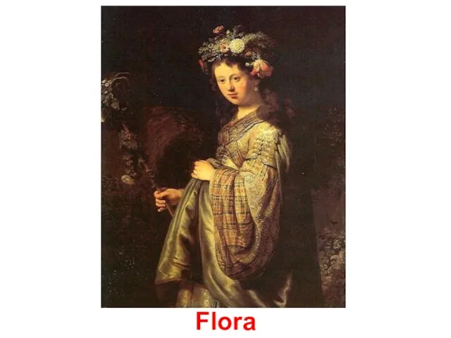 Flora