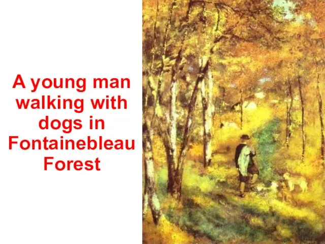 A young man walking with dogs in Fontainebleau Forest