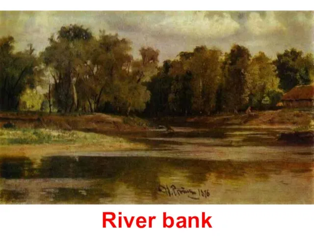 River bank