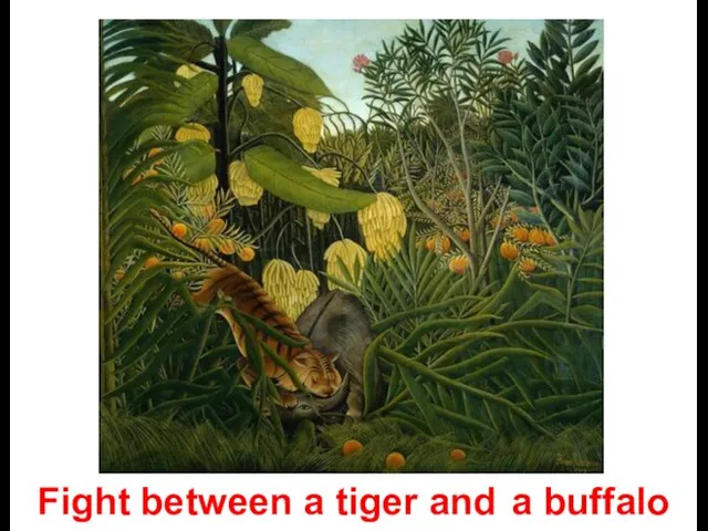 Fight between a tiger and a buffalo