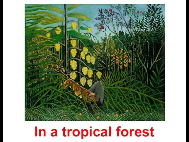 In a tropical forest