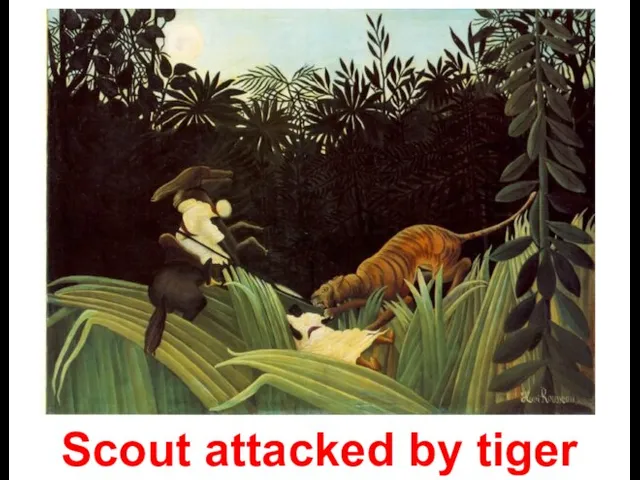 Scout attacked by tiger