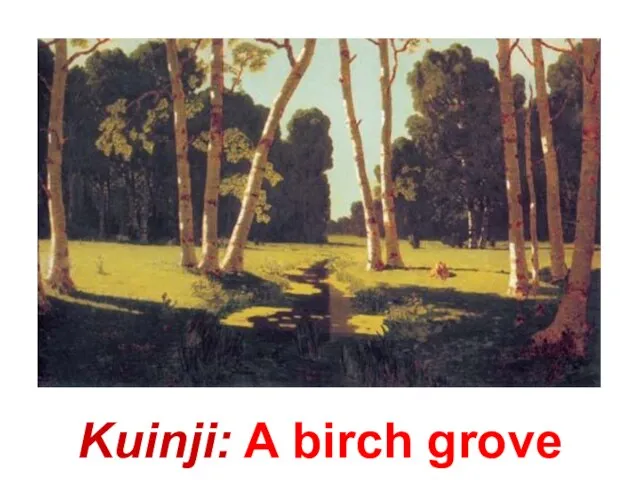 Kuinji: A birch grove
