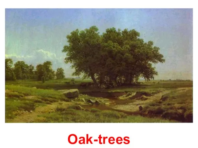 Oak-trees