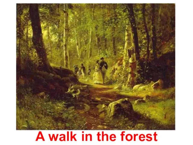 A walk in the forest