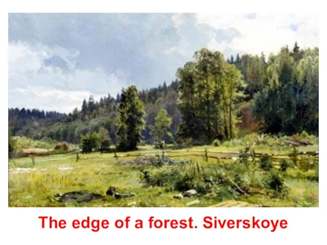 The edge of a forest. Siverskoye