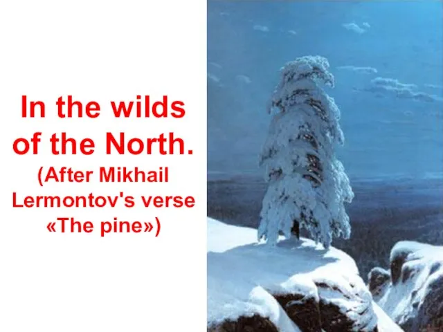 In the wilds of the North. (After Mikhail Lermontov's verse «The pine»)