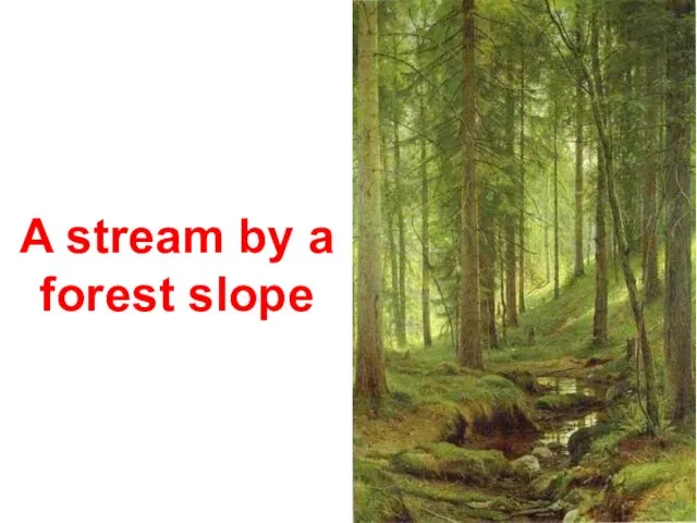 A stream by a forest slope