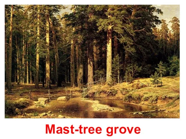 Mast-tree grove